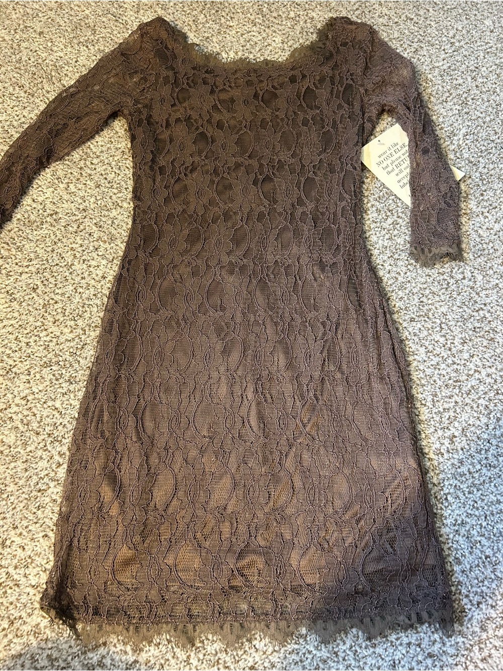 Boston Proper Brown Lace Long Sleeve Sheath Dress